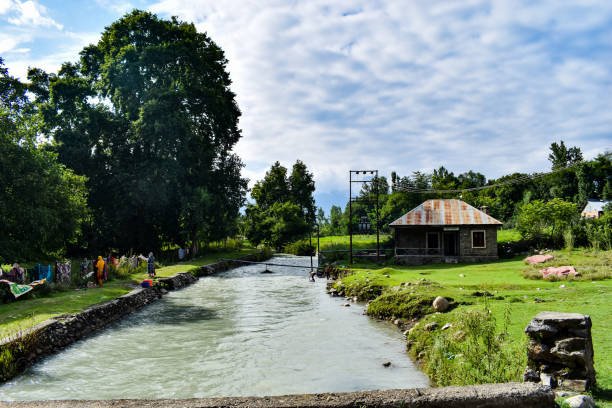Lidder River Pahalgam Kashmir family tour