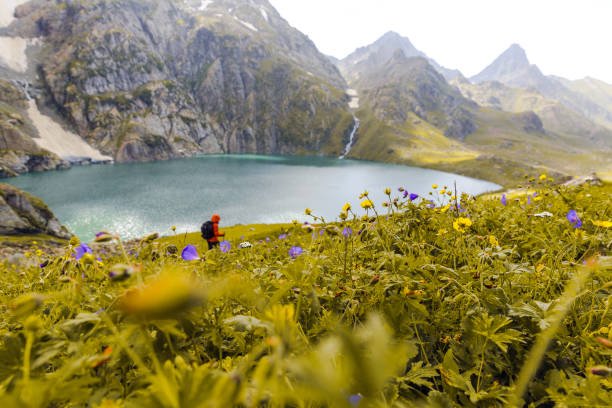 Sonmarg